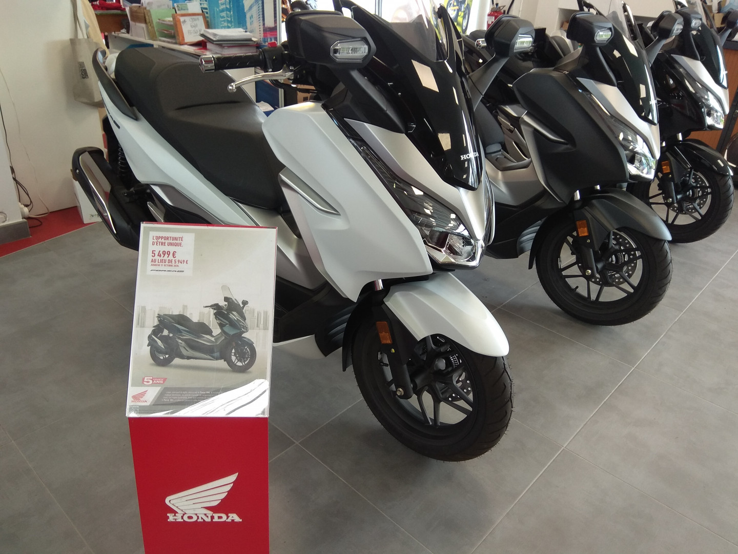 Promotion 300 Forza