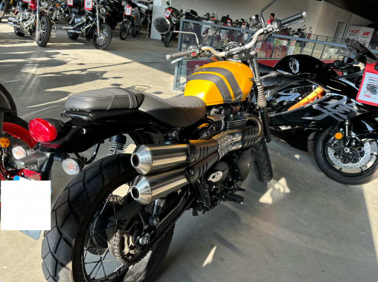 TRIUMPH SCRAMBLER 900 - VEZIN LE COQUET